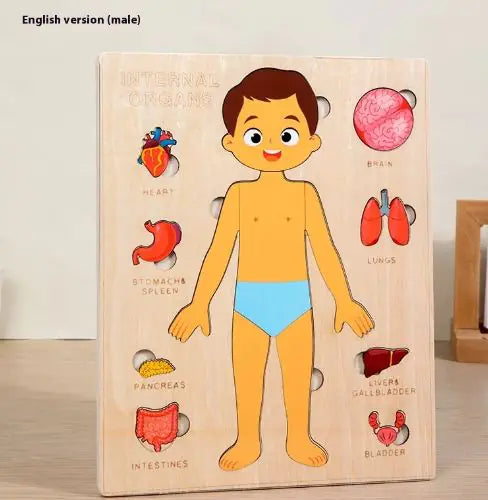 Juegos para Niños del Cuerpo Humano