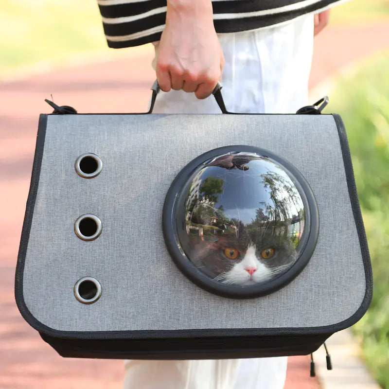 Mochila Plegable con burbuja para Gato, Diseño de Malla Transpirable