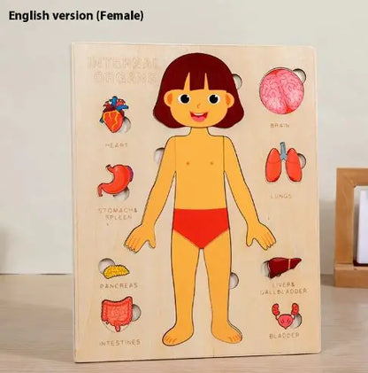 Juegos  para Niños del Cuerpo Humano