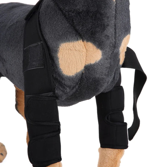Férula para Perritos  especial para la rodilla y Protector de Pierna para Recuperación de Lesiones