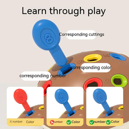 Juguete Educativo Pequeño Erizo