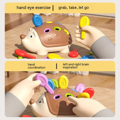 Juguete Educativo Pequeño Erizo