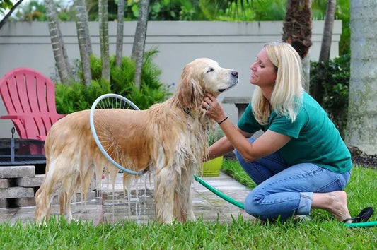 Anillo de Baño para Perros con Pistola de Agua Circular