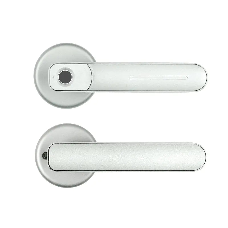 Cerradura Inteligente con Huella Dactilar para Puertas de Dormitorio y Oficina