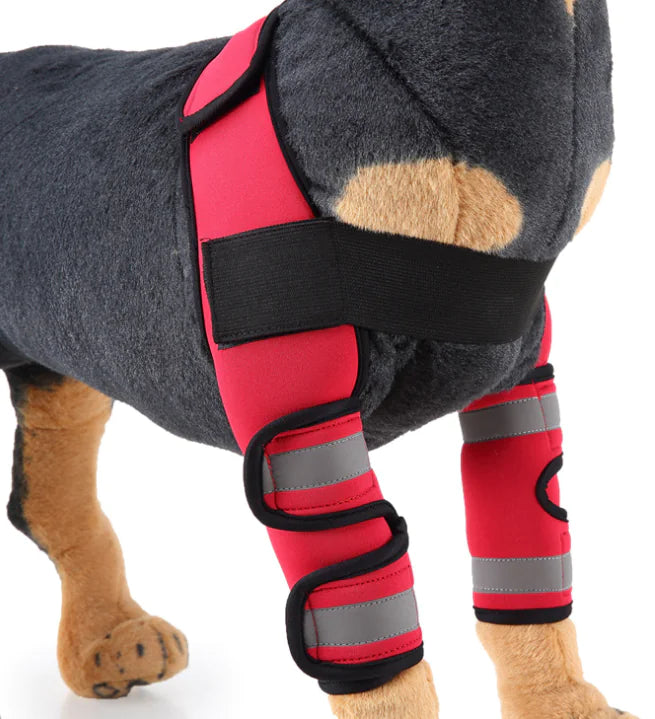 Férula para Perritos  especial para la rodilla y Protector de Pierna para Recuperación de Lesiones
