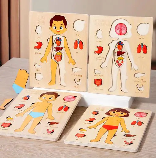 Juegos  para Niños del Cuerpo Humano