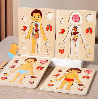 Juegos  para Niños del Cuerpo Humano