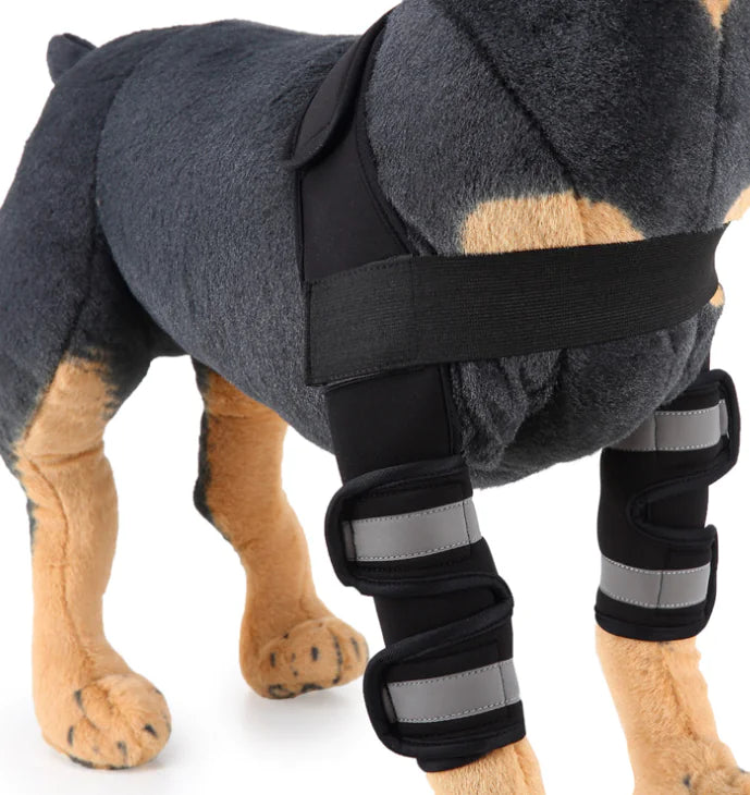 Férula para Perritos  especial para la rodilla y Protector de Pierna para Recuperación de Lesiones